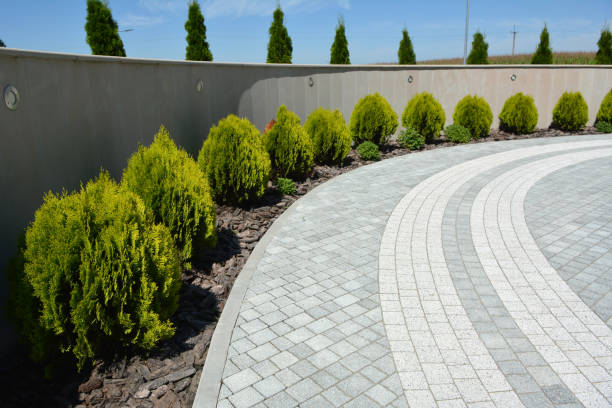 Best Local Driveway Pavers  in Mountain Home, AR